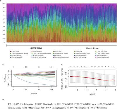 An Immune Cell-Based Signature Associating With EMT Phenotype Predicts Postoperative Overall Survival of ESCC